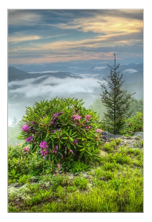 Blue Ridge Parkway