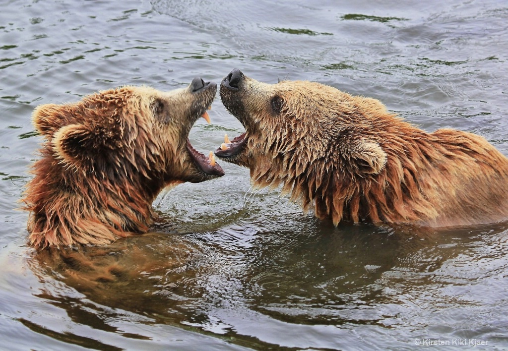 Siblings Arguing