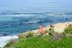 The Pacific Artis...
