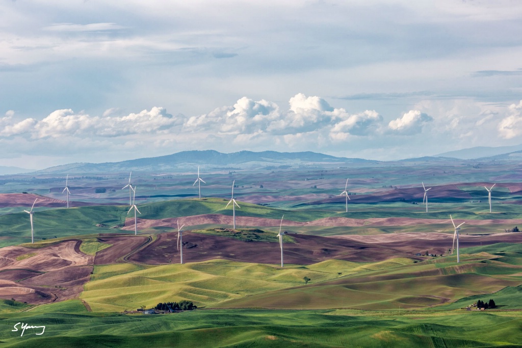 Palouse Wind Farm From Steptoe Butte, WA
