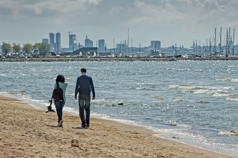 Couple Walking On The Pirita Beach