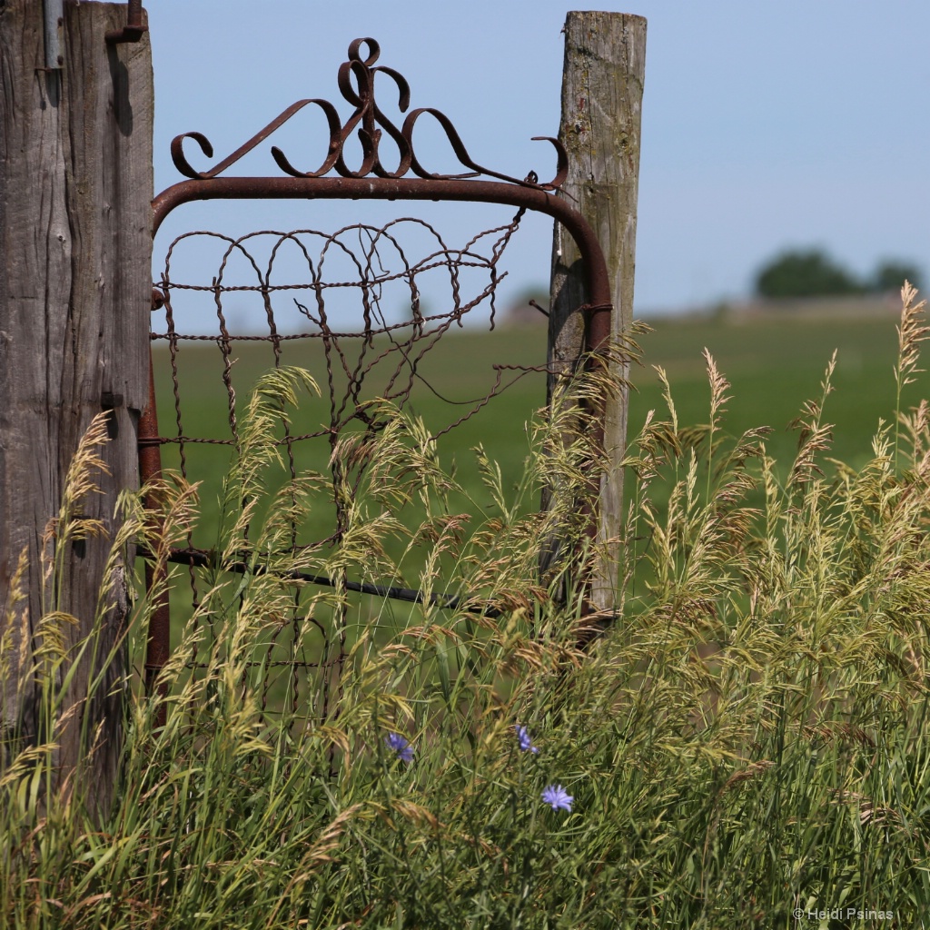 Little Gate to Nowhere