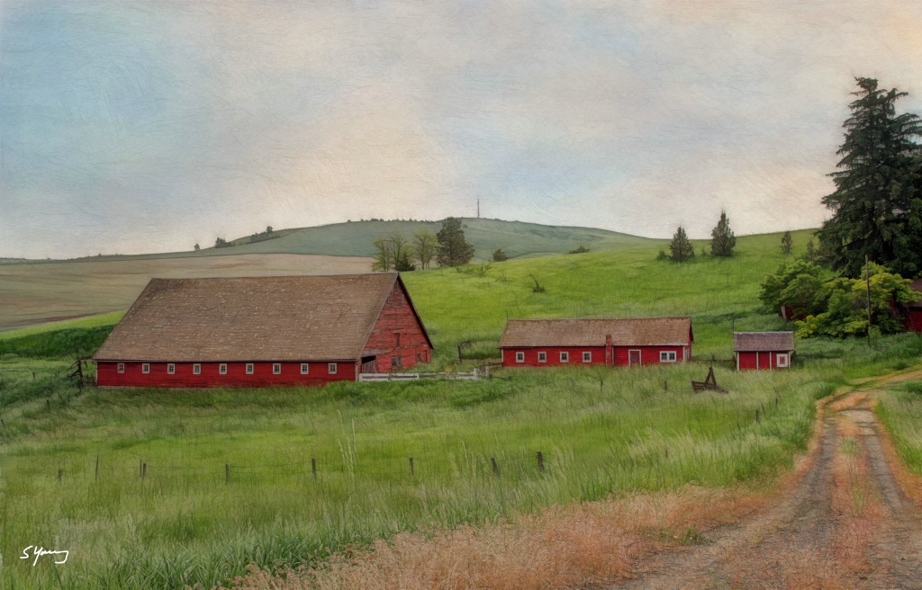 Farm Scene; Palouse Region, WA - ID: 15383836 © Richard S. Young