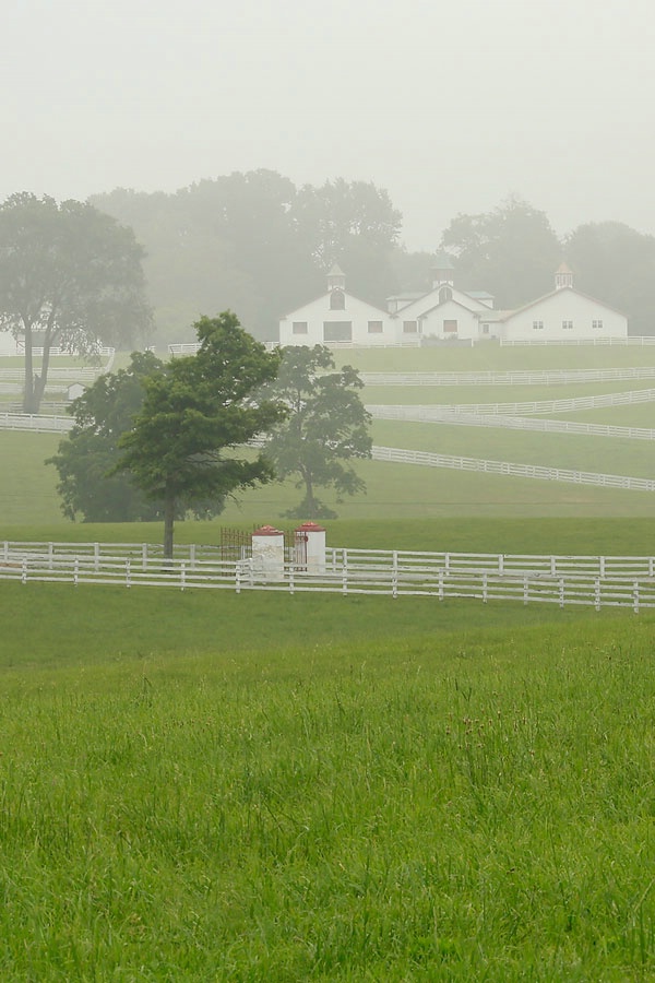Foggy morning in the Bluegrass