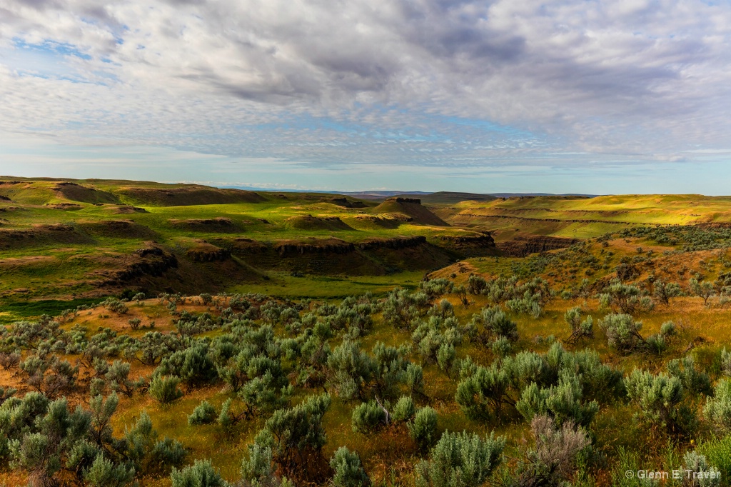 Along the Trail of the Palouse