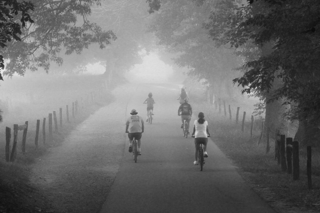 bike ride in black and white