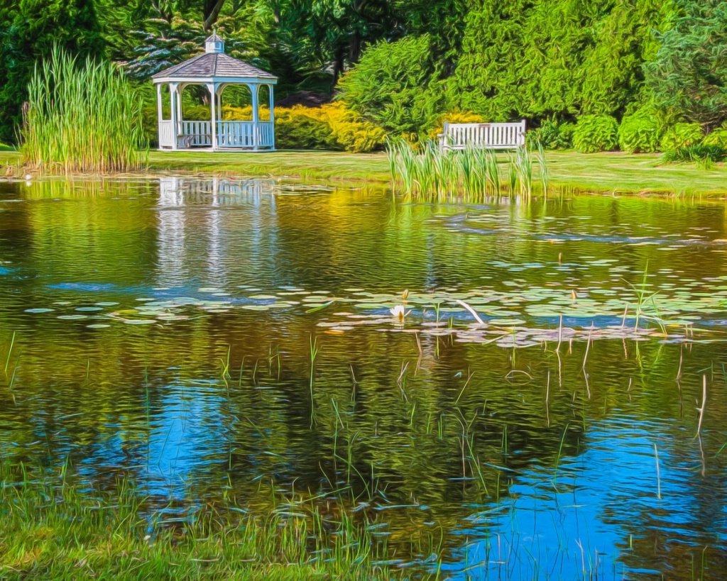 Peaceful Pond