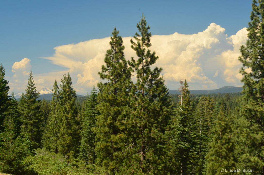 Thunderheads Over Mt. Lassen