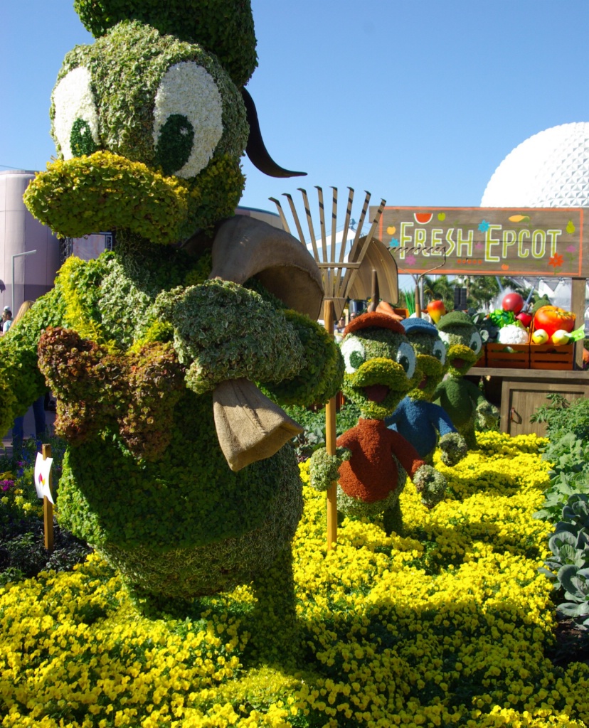 Flower and Garden at Epcot