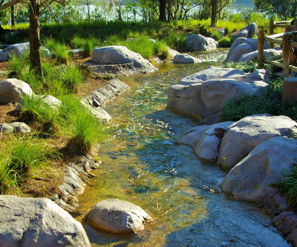 Wilderness Lodge Stream