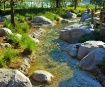 Wilderness Lodge ...