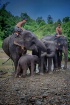 Elephant Family
