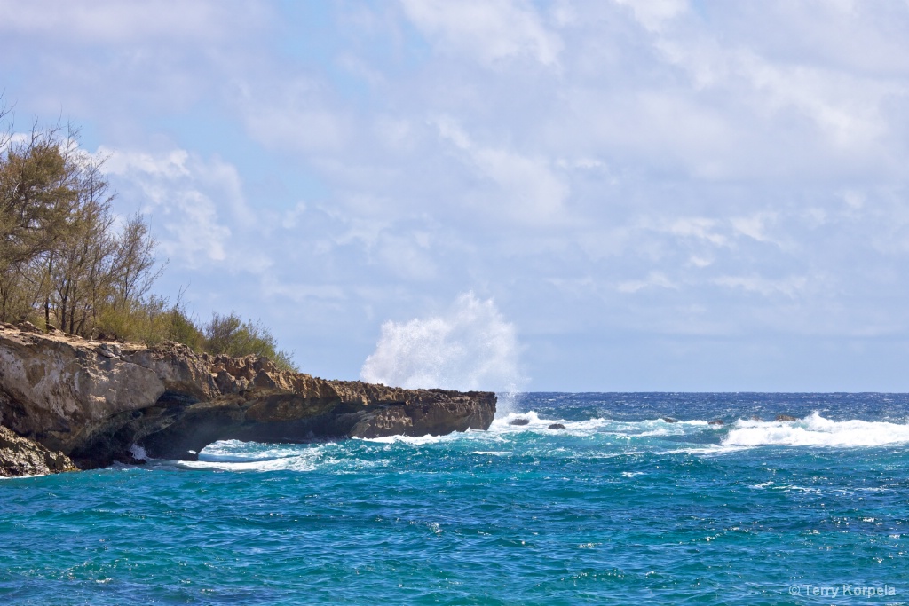 Coast Line of Kauai, Hawaii - ID: 15388319 © Terry Korpela