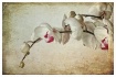 orchid