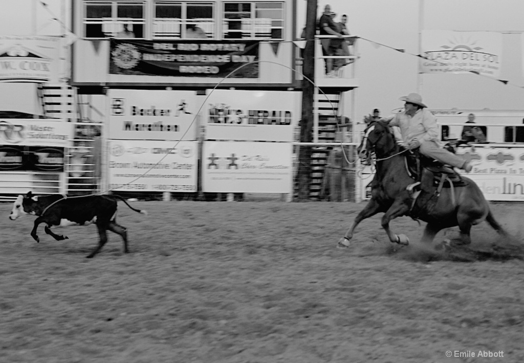 Calf Roping - ID: 15388414 © Emile Abbott