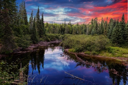 Reflection at Algonquin Park