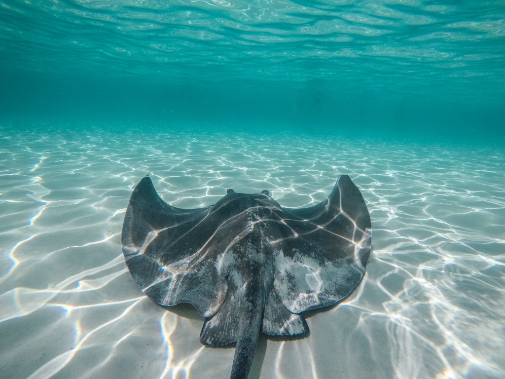 - ID: 15389654 © MICHAEL HUGHES