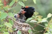 Feeding Time