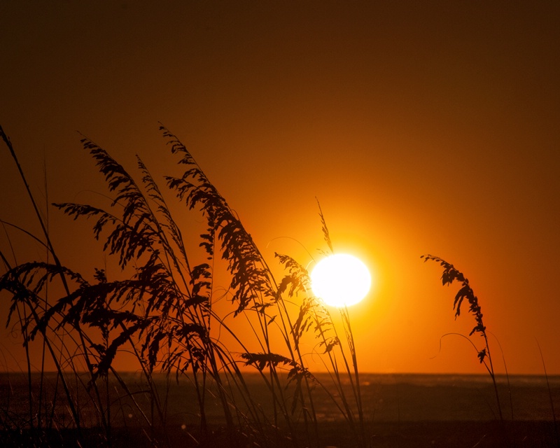 Gasparilla Island Sunset