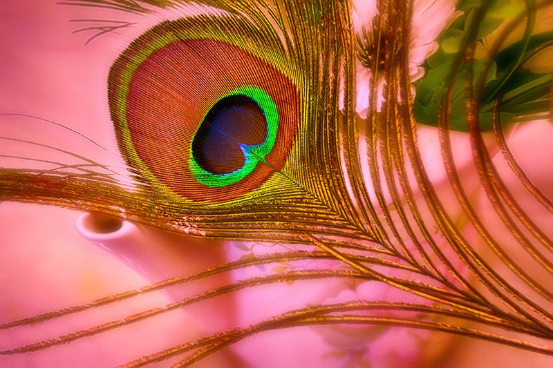 An eye for Tea