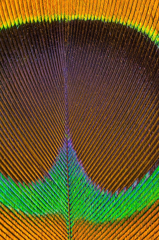 img4