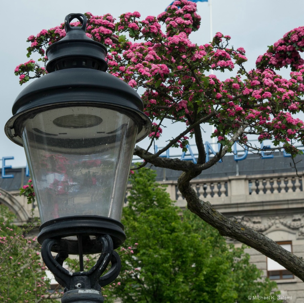 Stockholm Street Lamp - ID: 15389838 © Michael K. Salemi