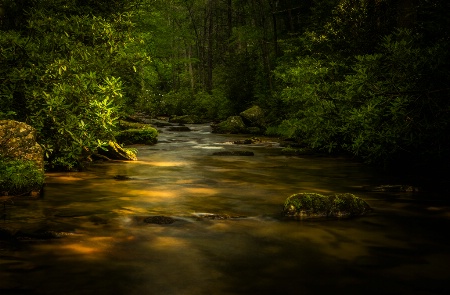 Looking Glass Creek