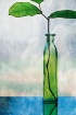 The Green Bottle