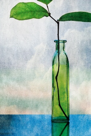 The Green Bottle