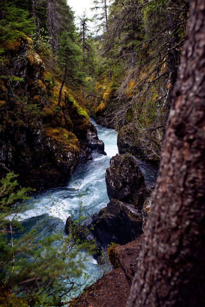 The rushing river along the Iditarod trail