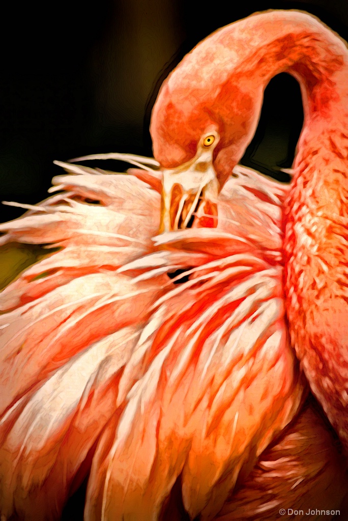 Artistic Cape May Flamingo 6-16-17 481