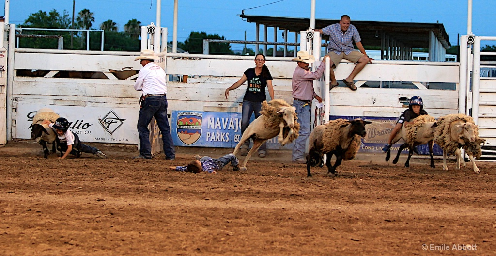 Mutton Busting - ID: 15421303 © Emile Abbott