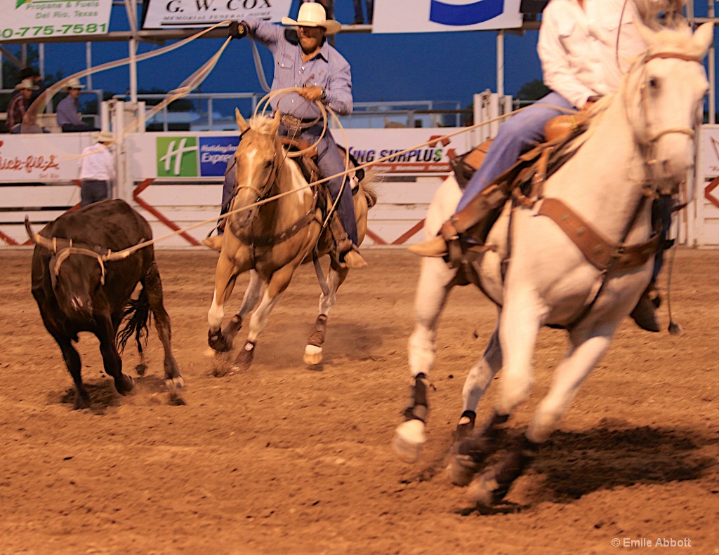 Team Roping - ID: 15421306 © Emile Abbott