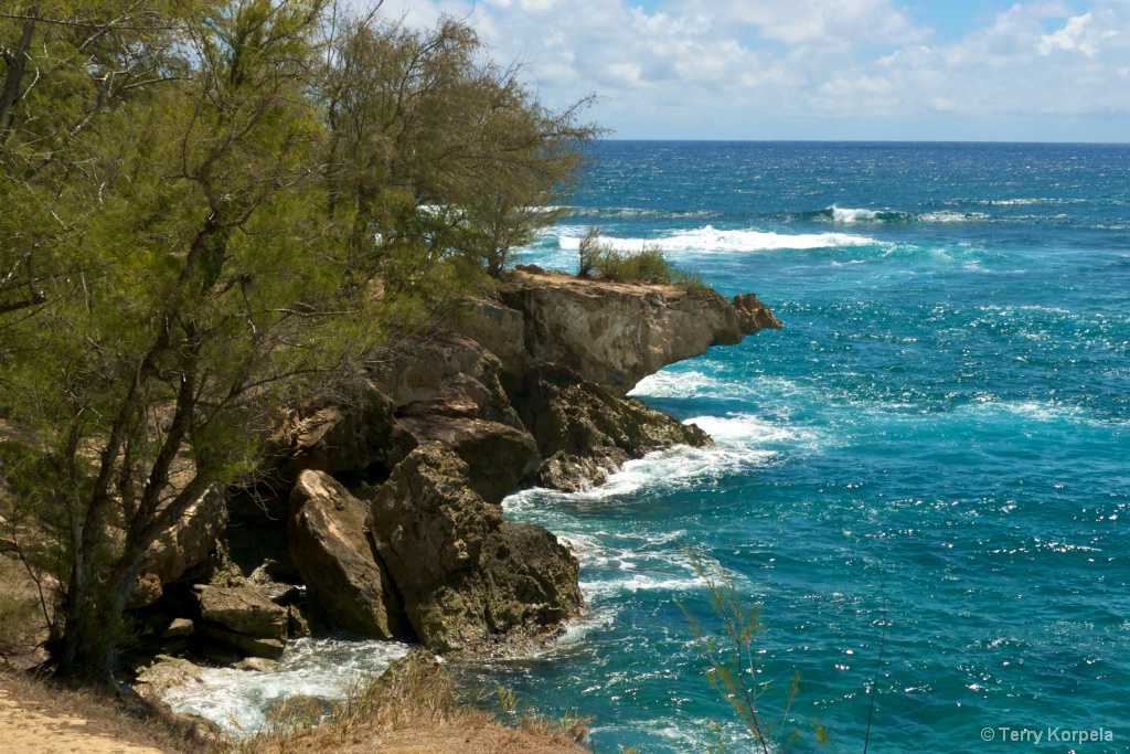 Coast of Kauai