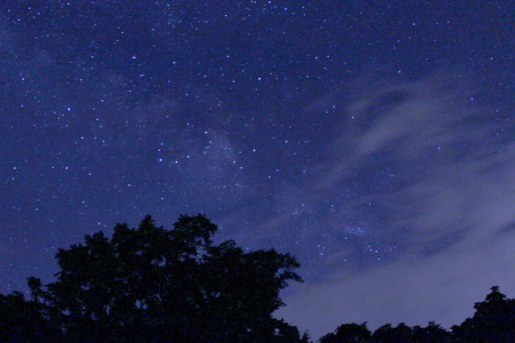 Mystical Night Sky