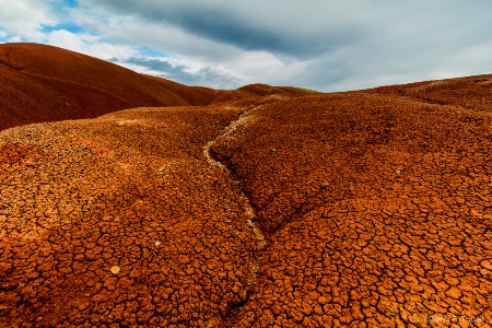 Painted Hills Looking Up