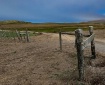 Point Reyes