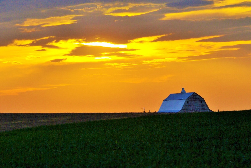 Kansas Farm