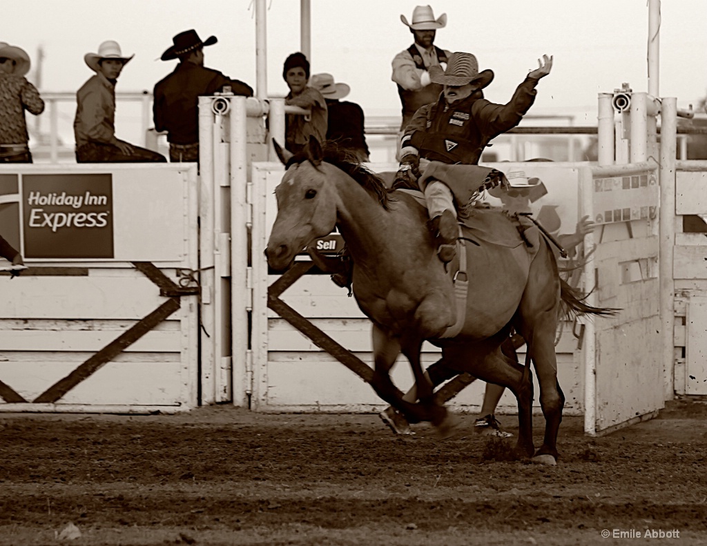 Bare Back Rider - ID: 15426323 © Emile Abbott