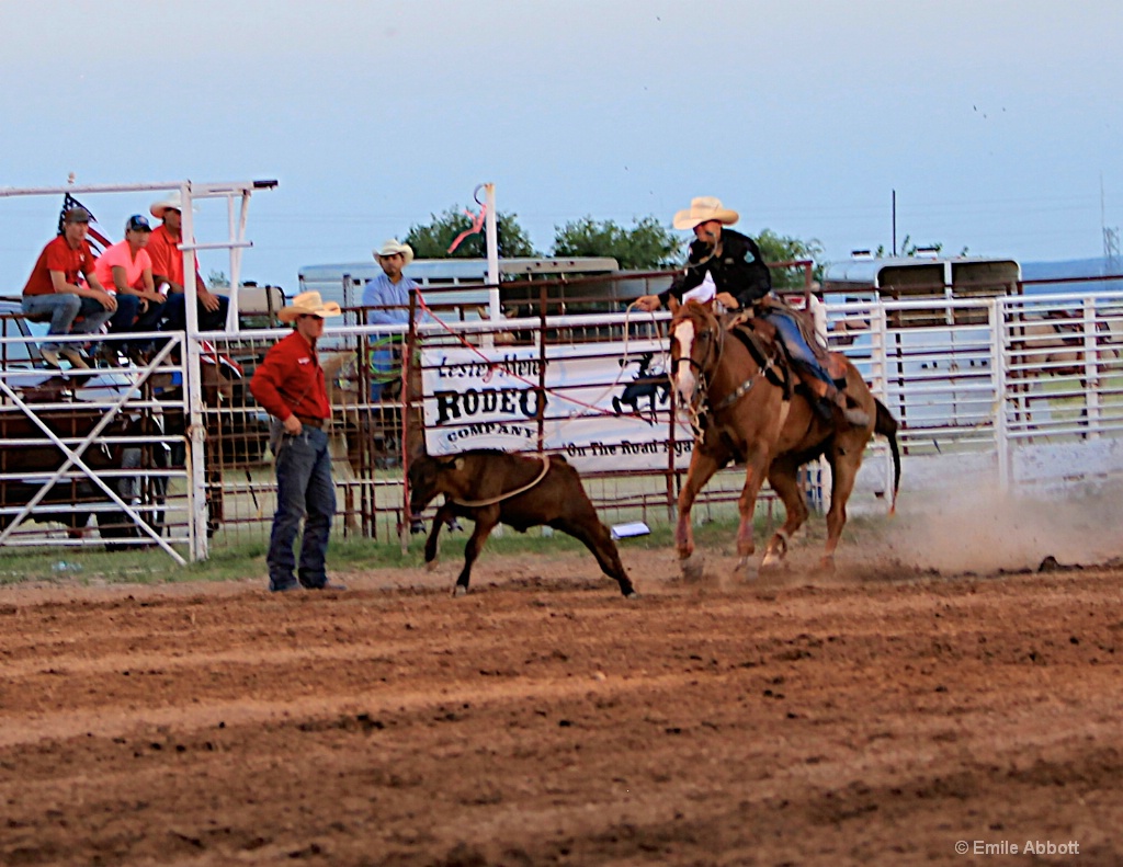 Calf Roping - ID: 15426324 © Emile Abbott