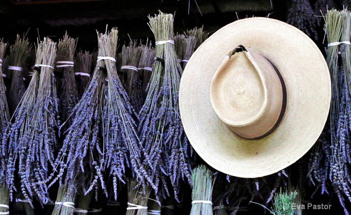 Lavendar & Hat