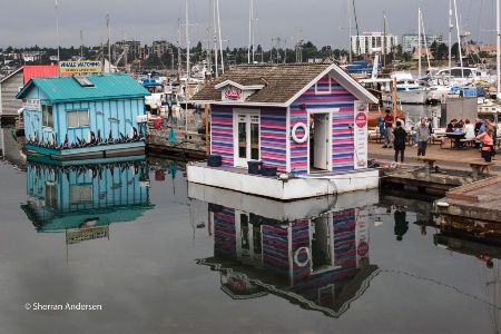 Marina Reflections