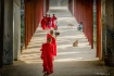 Novices 