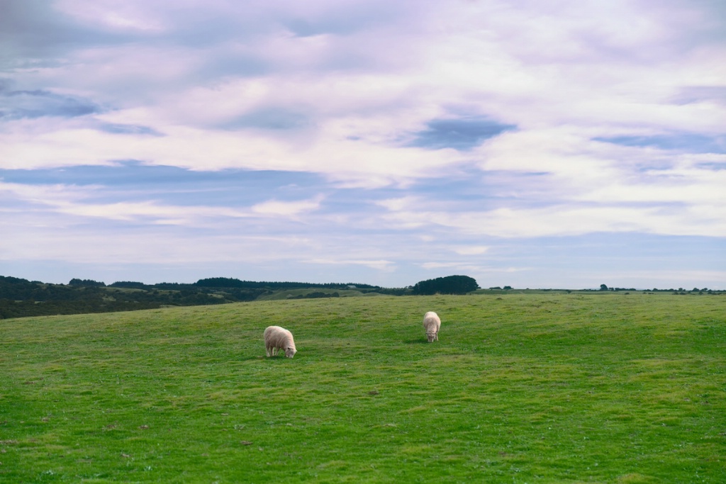 Outstanding In Their Field