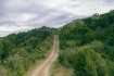 Forgotten Road