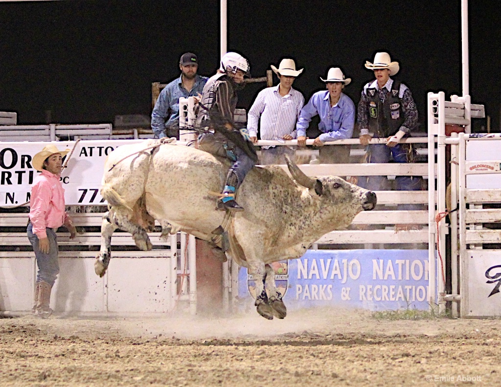 Riding High - ID: 15428519 © Emile Abbott