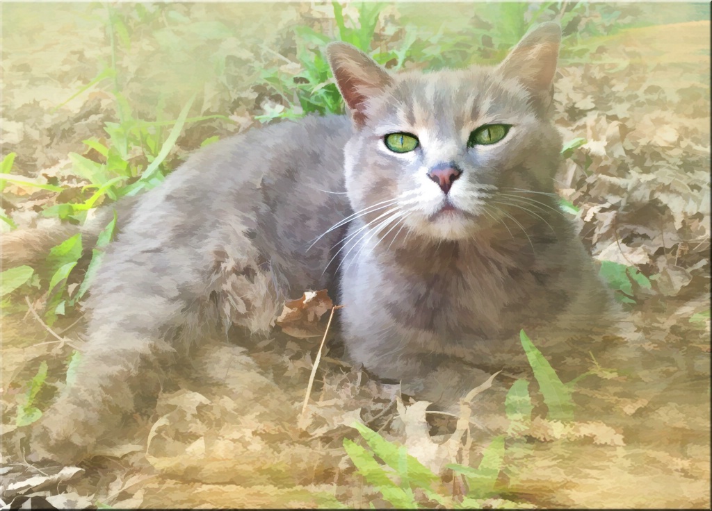 img3