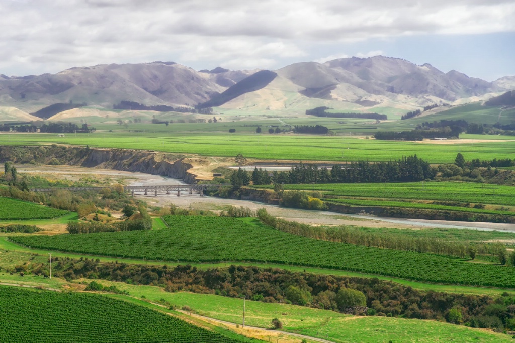 New Zealand Wine Country