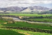New Zealand Wine ...