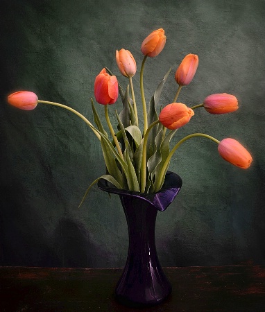 A Bouquet Of Tulips